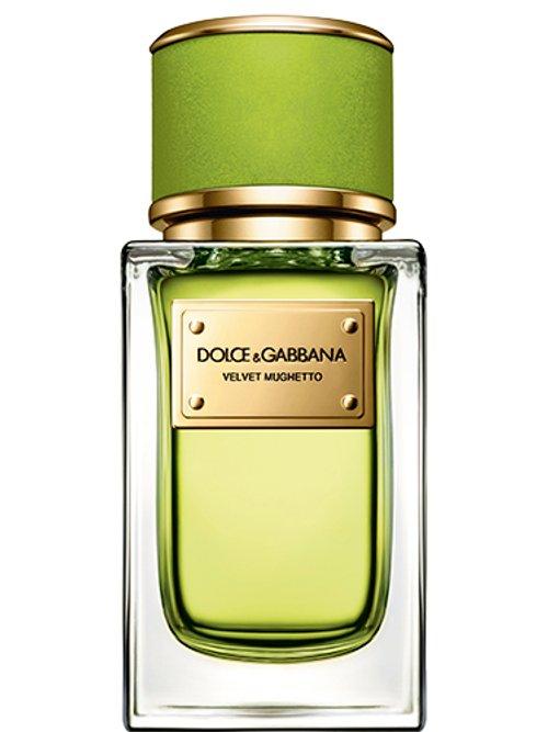 Velvet Mughetto — Dolce & Gabbana