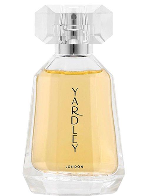 Daisy Sapphire (Royal English Daisy) — Yardley