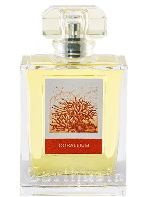 Corallium — Carthusia