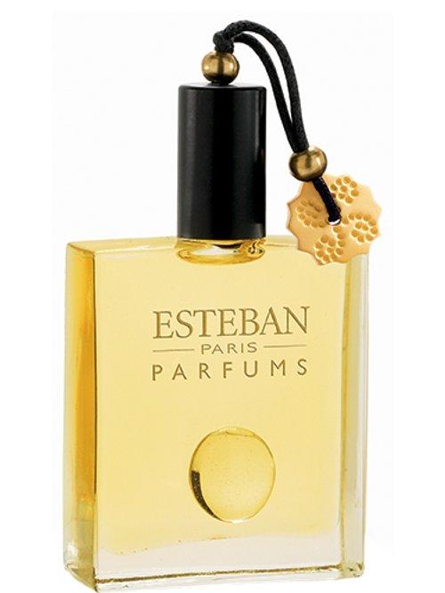 Ambre — Estéban