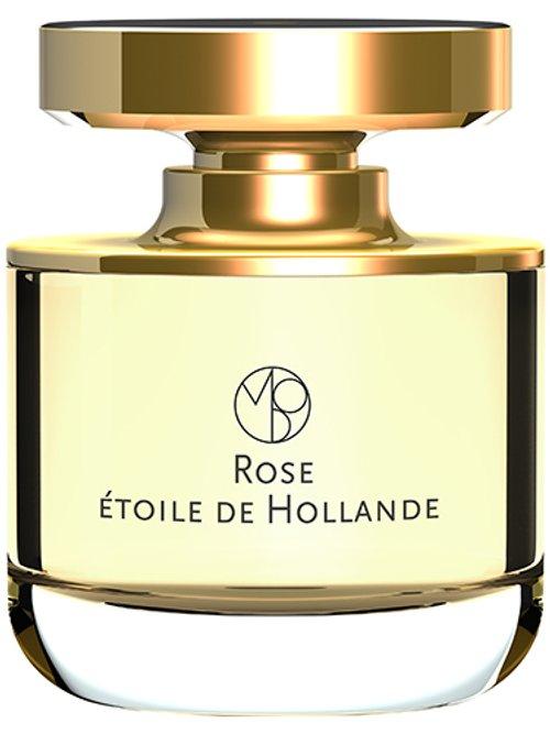 Rose Etoile de Hollande — Mona Di Orio