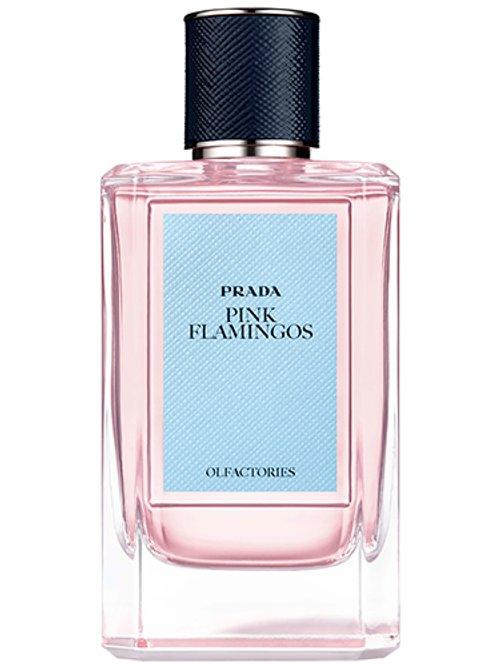 Pink Flamingos — Prada