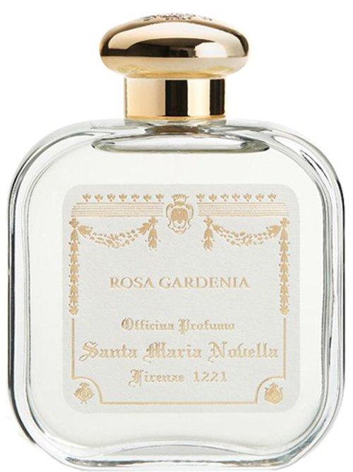 Rosa Gardenia — Santa Maria Novella