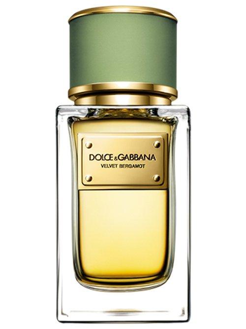 Velvet Bergamot — Dolce & Gabbana