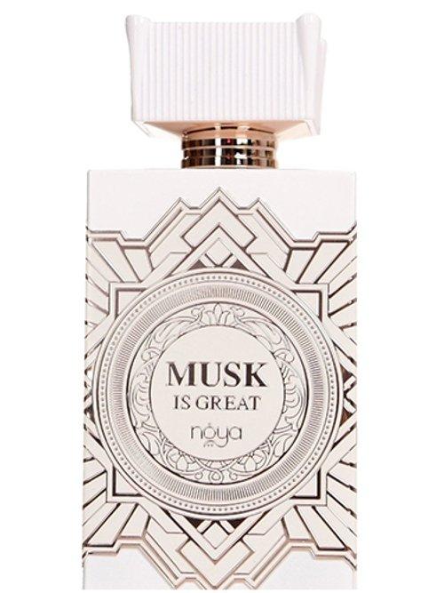 Musk Is Great — Noya