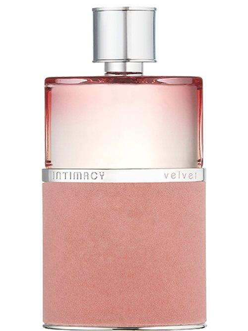 Intimacy Velvet — Intimacy