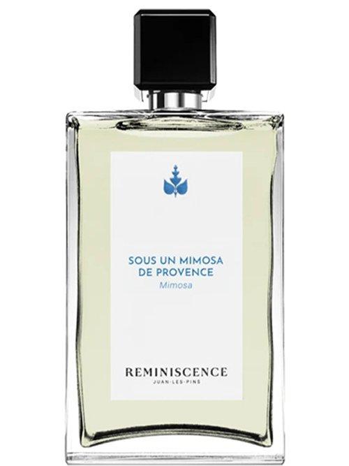 Sous un Mimosa de Provence — Reminiscence