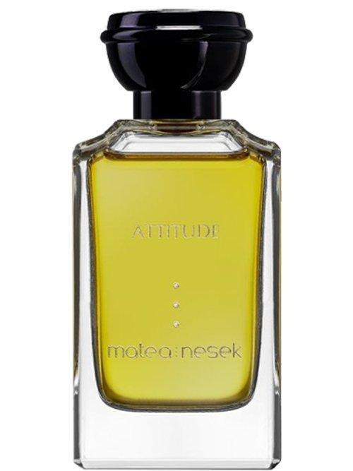 Attitude — Matea Nesek
