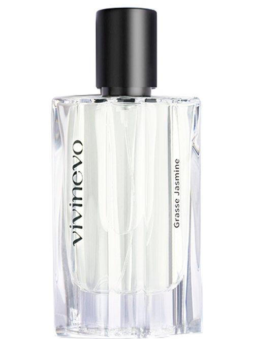 Grasse Jasmine — Vivinevo
