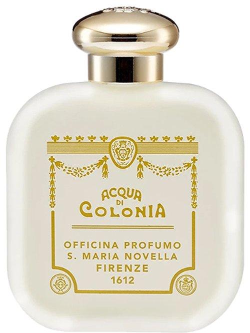 Rosa Novella (2020) — Santa Maria Novella