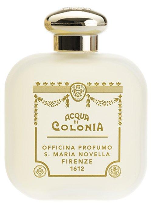 Caprifoglio — Santa Maria Novella