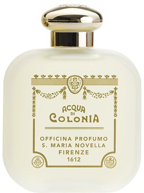 Ginestra — Santa Maria Novella