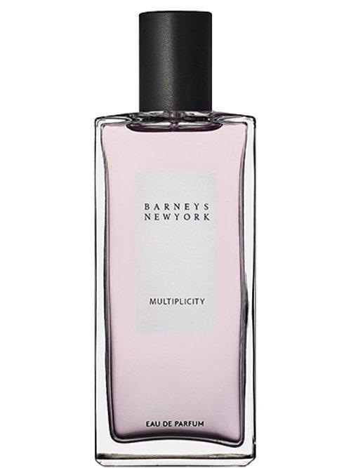 Multiplicity — Barneys New York