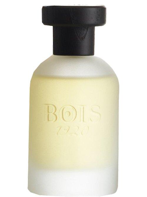 Classic Paradise — Bois 1920