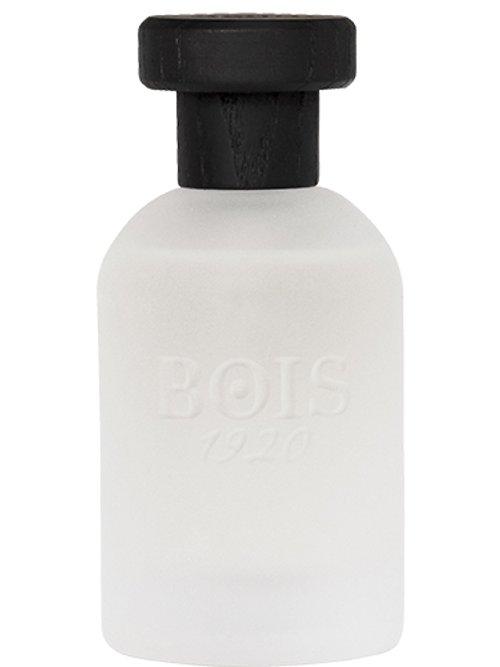 Classic 1920 — Bois 1920