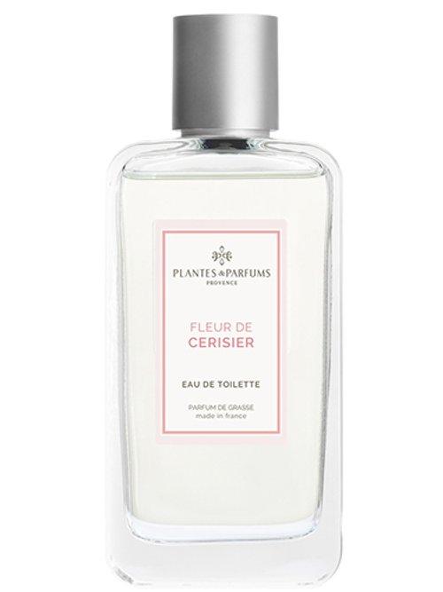 Fleur De Cerisier Plantes & Parfums — Plantes & Parfums