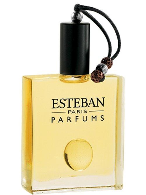 Modern Chypre — Estéban