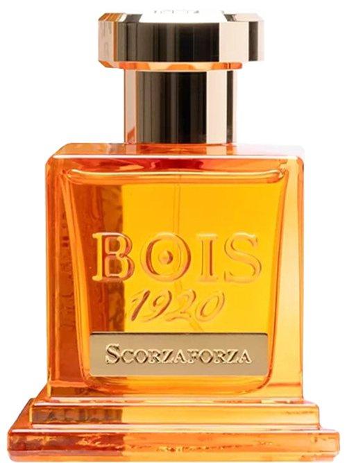 Scorzaforza — Bois 1920