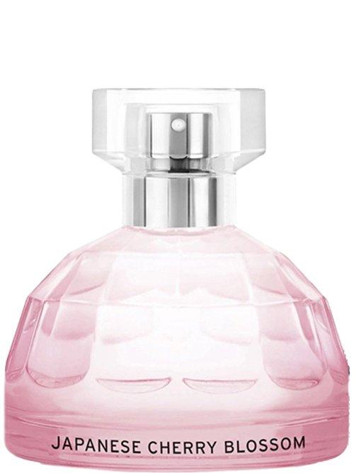 Japanese Cherry Blossom — The Body Shop