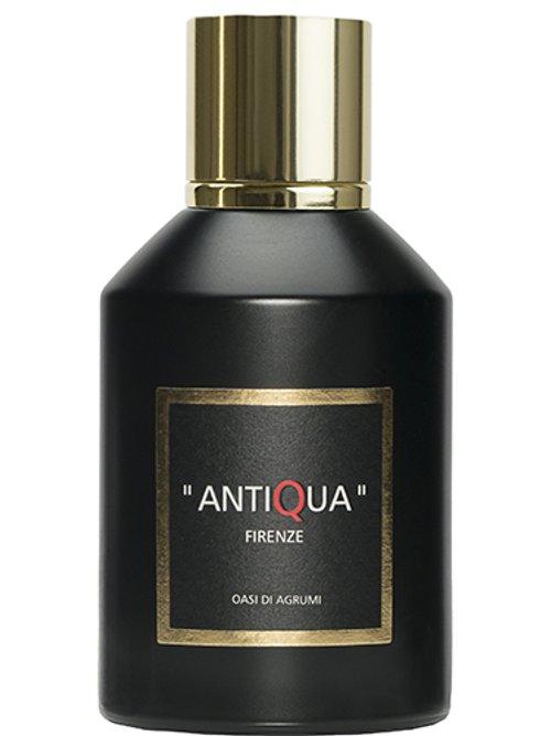 Oasi Di Agrumi — Antiqua Firenze