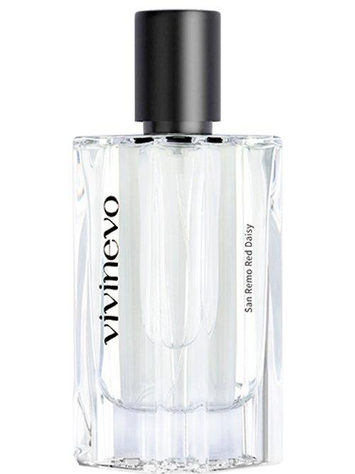 San Remo Red Daisy — Vivinevo