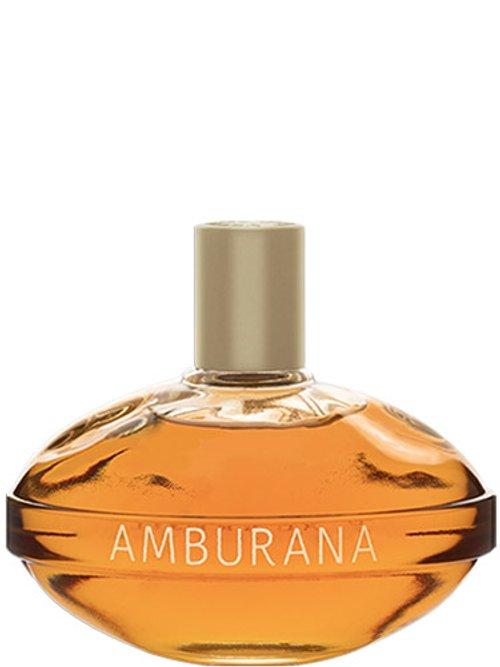 Amburana Ao Sol — L'Occitane