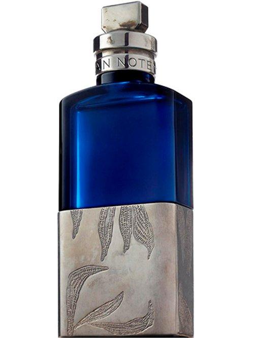 Voodoo Chile — Dries Van Noten