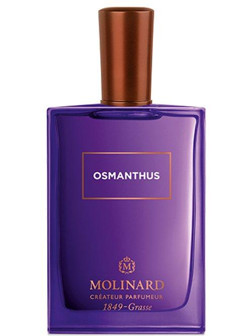 Osmanthus — Molinard