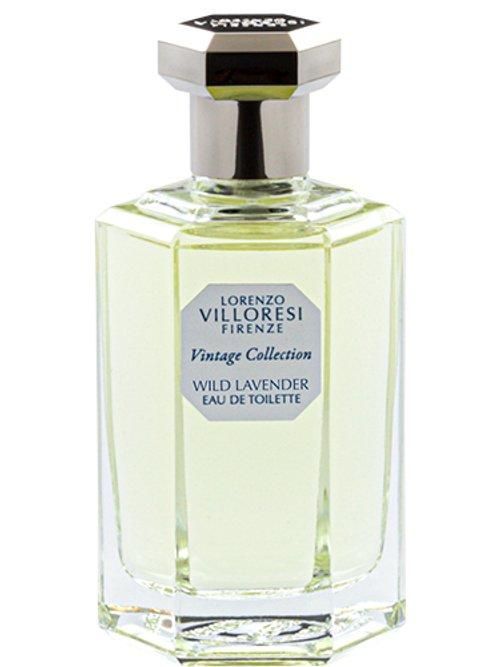 Wild Lavender Inglese — Lorenzo Villoresi