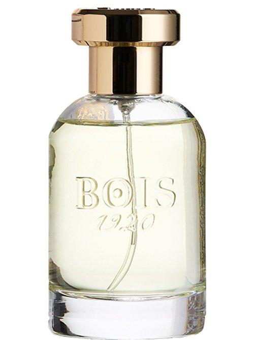 Parana — Bois 1920