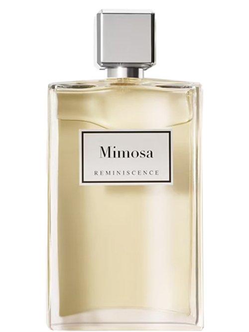Mimosa — Reminiscence