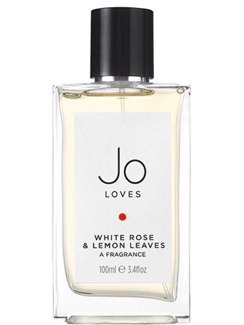 White Rose & Lemon Leaves — Jo Loves