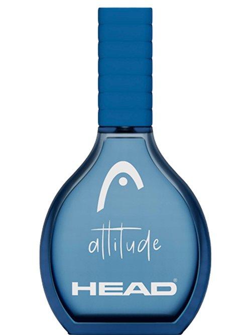 Attitude — Head