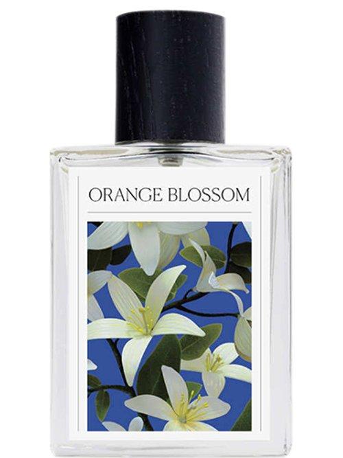 Orange Blossom — The 7 Virtues