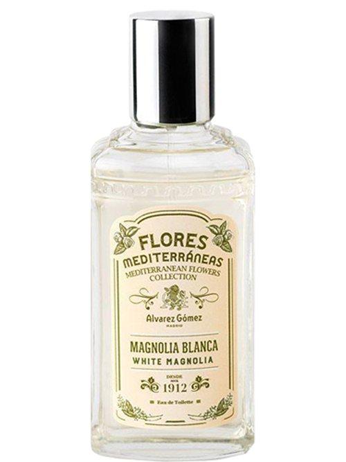 Magnolia Blanca — Álvarez Gómez