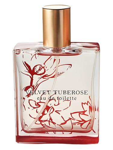 Velvet Tuberose — Bath & Body Works